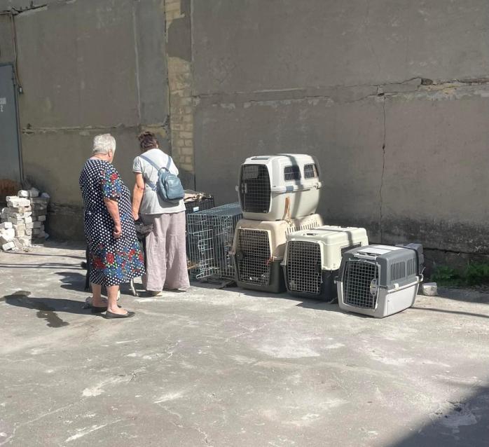 В Винницкой области эвакуированным из-под Покровска женщинам не разрешили заселиться в дом, потому что те приехали с 11 собаками и 34 котами