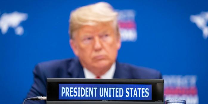 Дональд Трамп, фото: RawPixel