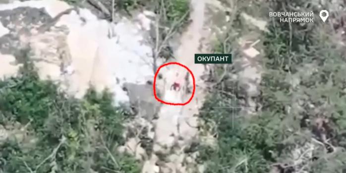 Уничтожение российского захватчика, скриншот видео