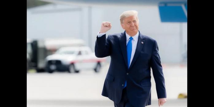 Дональд Трамп, фото: RawPixel