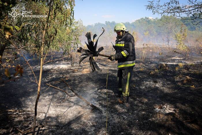 Масштабні пожежі в екосистемах спалахнули на Харківщині, фото: ДСНС