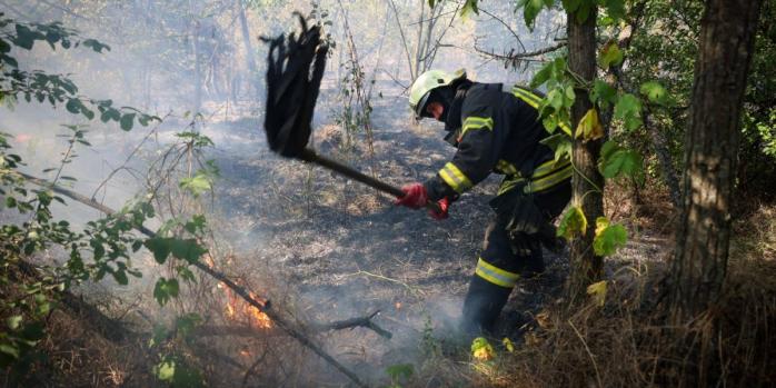 Масштабні пожежі в екосистемах спалахнули на Харківщині, фото: ДСНС