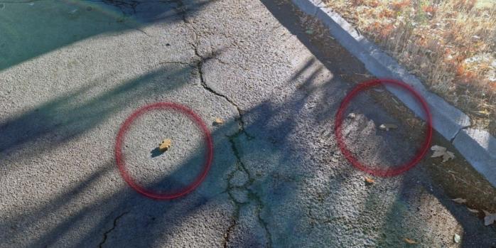 Россияне терроризируют жителей Херсона минами-лепестками, фото: Нацполиция