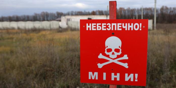 В Україні триває розмінування деокупованих територій, фото: ДСНС