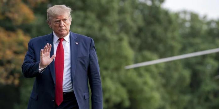 Дональд Трамп, фото: RawPixel