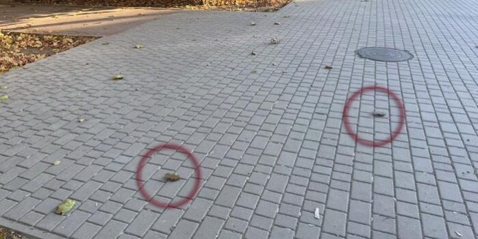 Рашисты осуществляют минирование улиц Херсона минами-лепестками, фото: полиция Херсонщины