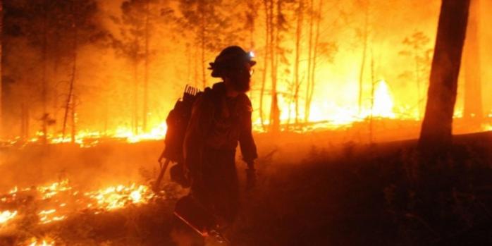 Сжигание сухостоя вызвало масштабный лесной пожар на Закарпатье, фото: Public Domain Pictures