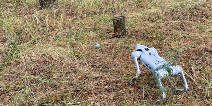 Уничтожение обнаруженных вражеских боеприпасов, фото: ГСЧС