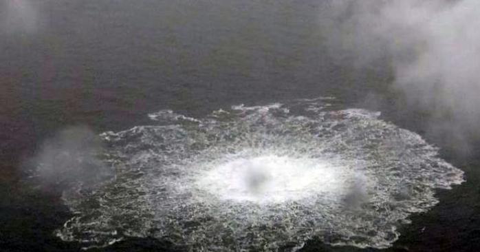 Украинца задержали в Польше за подрыв «Северных потоков». Фото: 