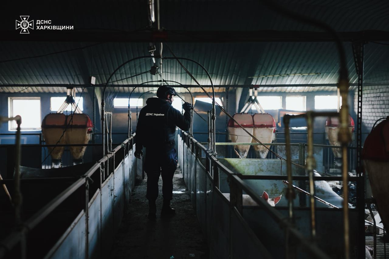 РФ атакувала сільгосппідприємство на Харківщині. Фото: ДСНС