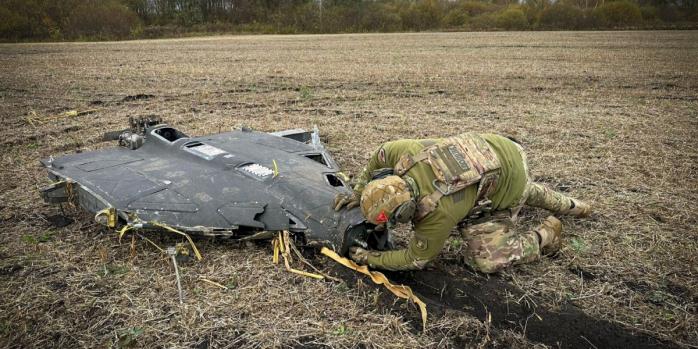 Знищення збитого безпілотника, фото: Нацполіція