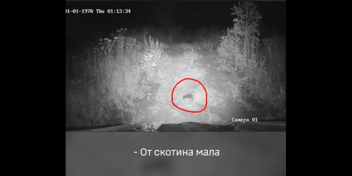 Украинский дрон встретился с ежом, скриншот видео