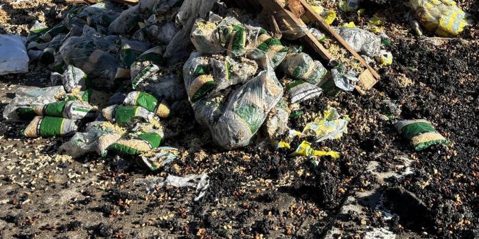 Последствия ударов российских дронов в Чугуеве, фото: «Суспільне»