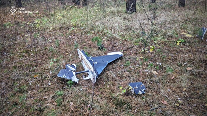 На Чернігівщині внаслідок детонації збитого БПЛА постраждали підлітки, фото: ДСНС