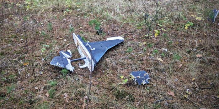 В Черниговской области в результате детонации сбитого БПЛА пострадали подростки, фото: ГСЧС