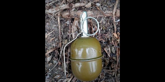 В Киевской области изъяли боевую гранату, фото: ГСЧС
