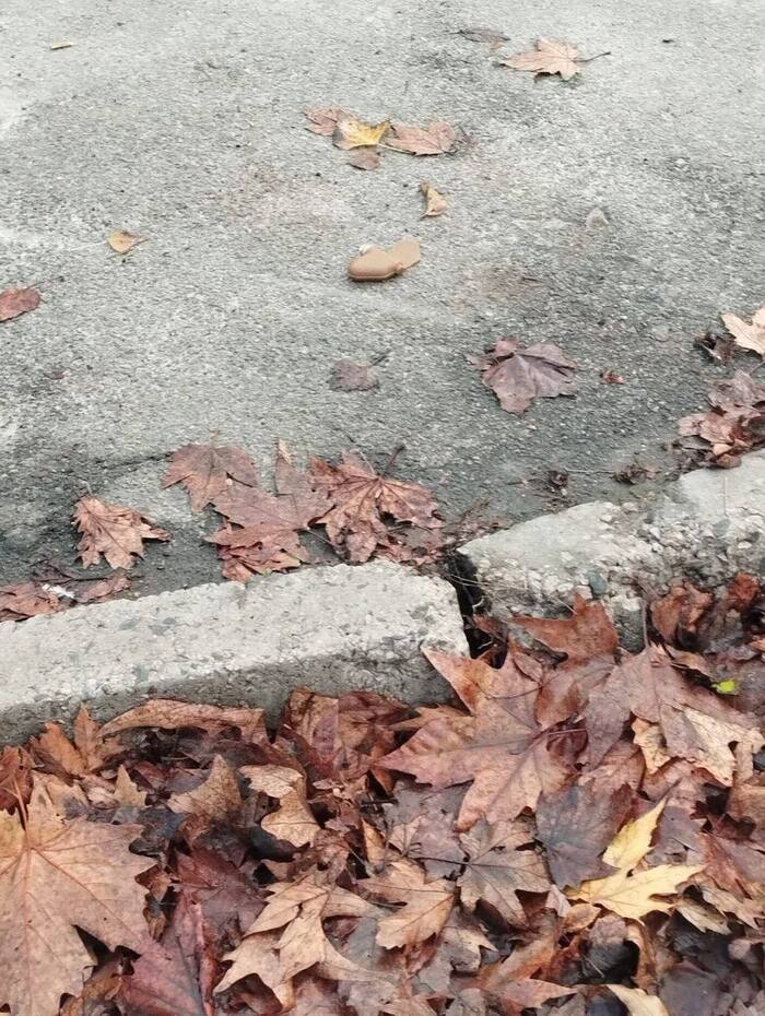 Фото: Херсонська МВА