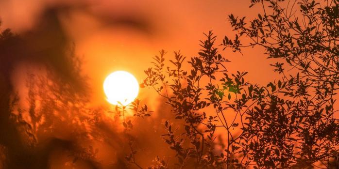 Волны жары в Европе могут стать более смертоносными, фото: «Правда.ру»