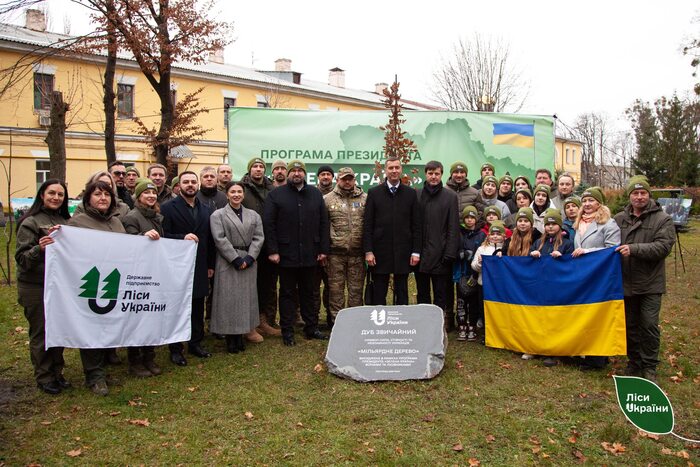 В Україні висадили мільярд дерев, фото: ДП «Ліси України»