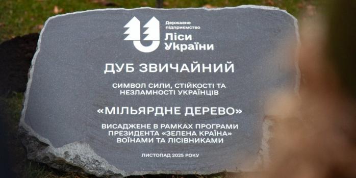 В Украине высадили миллиард деревьев, фото: ГП «Леса Украины»