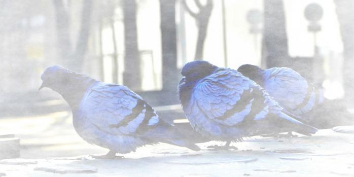 В Украине ожидается ухудшение погодных условий