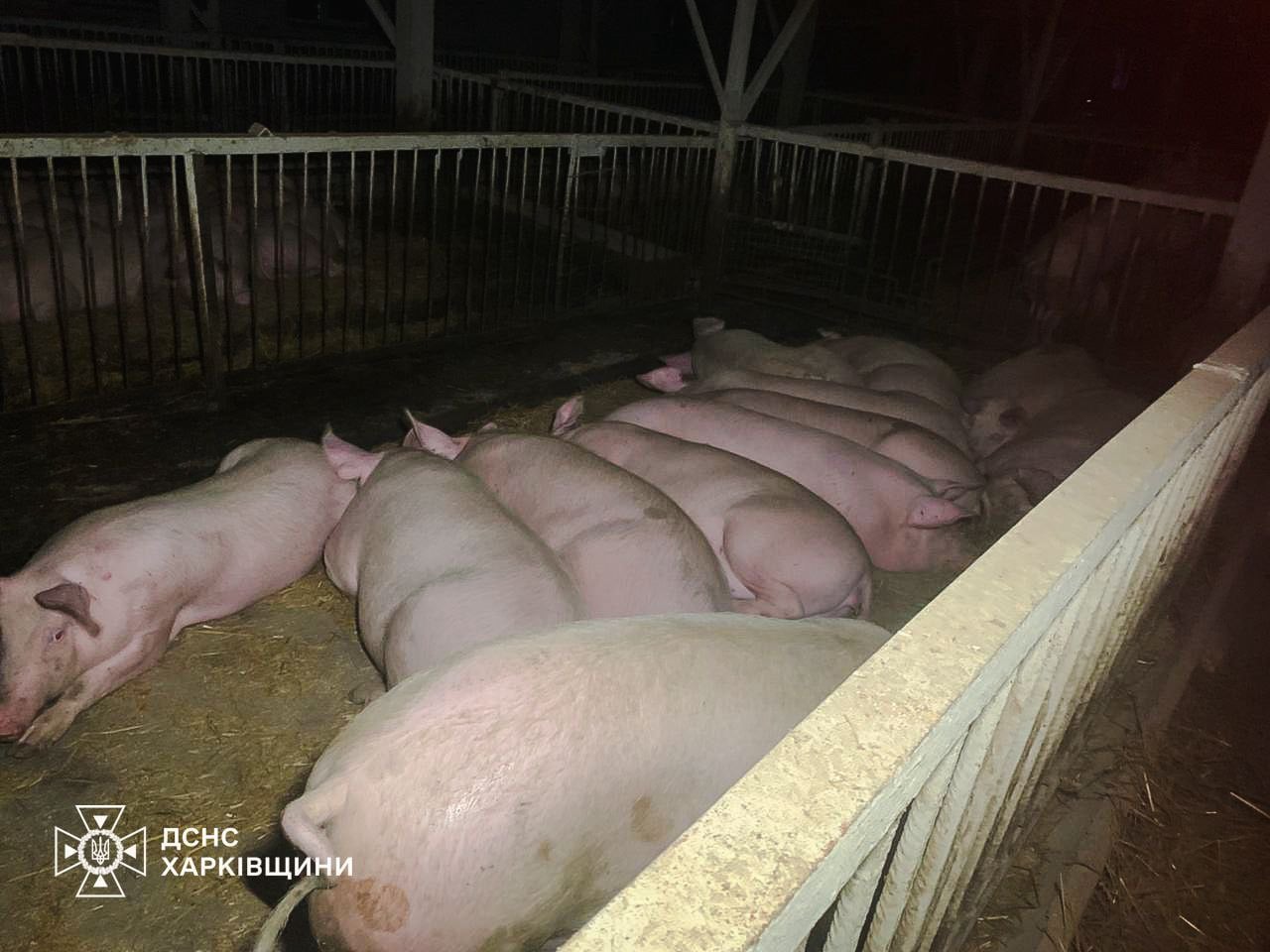 Наслідки обстрілів. Фото: ДСНС