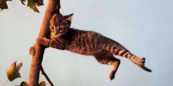 В Україні очікується погіршення погодних умов, фото: «Одеське життя»