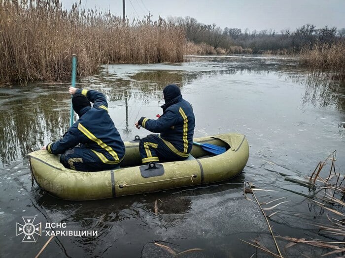 Порятунок лебедя на Харківщині, фото: ДСНС