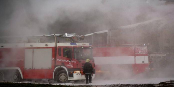 Ліквідація пожежі на Одещині, фото: ДСНС