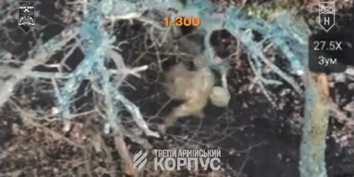 Уничтожение российских захватчиков, скриншот видео