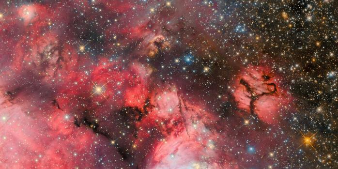 Область комплексу N159, де утворюються зірки, фото: ESO