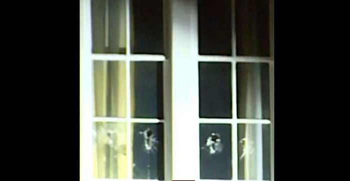 В доме Джей Ди Венса разбили окна, фото: WLWT