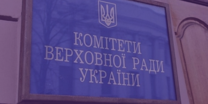 Парламентские комитеты Верховной Рады поддержали назначение Михаила Федорова и Дениса Шмыгаля на новые должности, фото: Рух &laquo;Чесно&raquo;