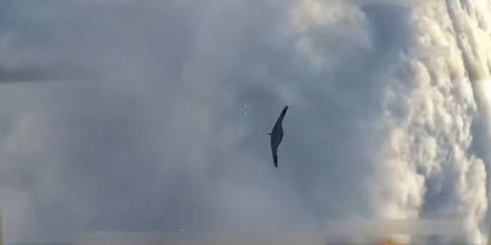 Знищення ворожого дрона, скріншот відео