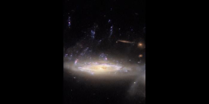 Галактика JO204 классифицируется как галактика-медуза, фото: ESA/Hubble & NASA; M. Gullieuszik and the GASP команда