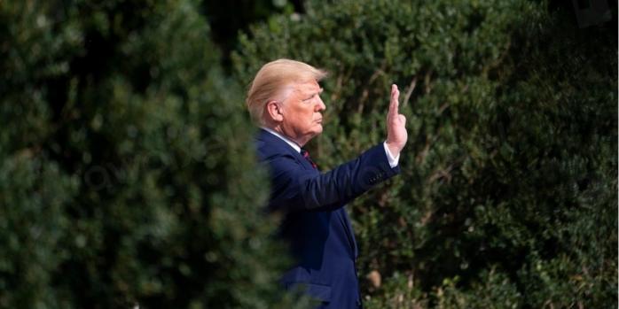 Дональд Трамп, фото: RawPixel