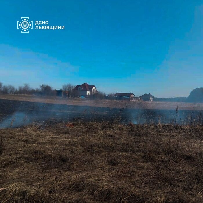 Пожежі в екосистемах, фото: ДСНС