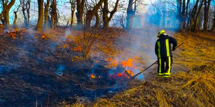Пожары в экосистемах, фото: ГСЧС