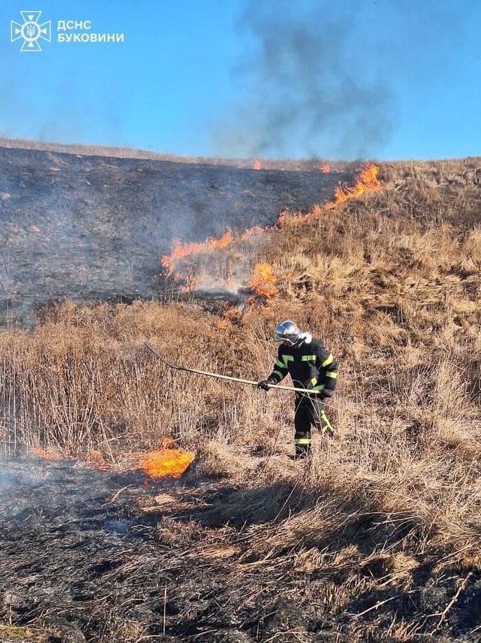 Наслідки пожежі в екосистемах, фото: ДСНС