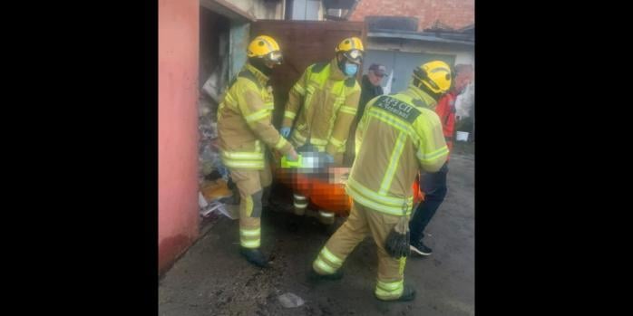 Наслідки пожежі в екосистемах, фото: ДСНС