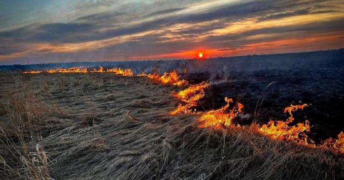 Підпал сухої трави на Львівщині забрав життя чоловіка. Фото: 