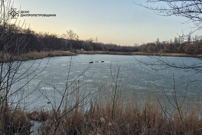 На водоймі у Кривому Розі врятували двох чоловіків, фото: ДСНС