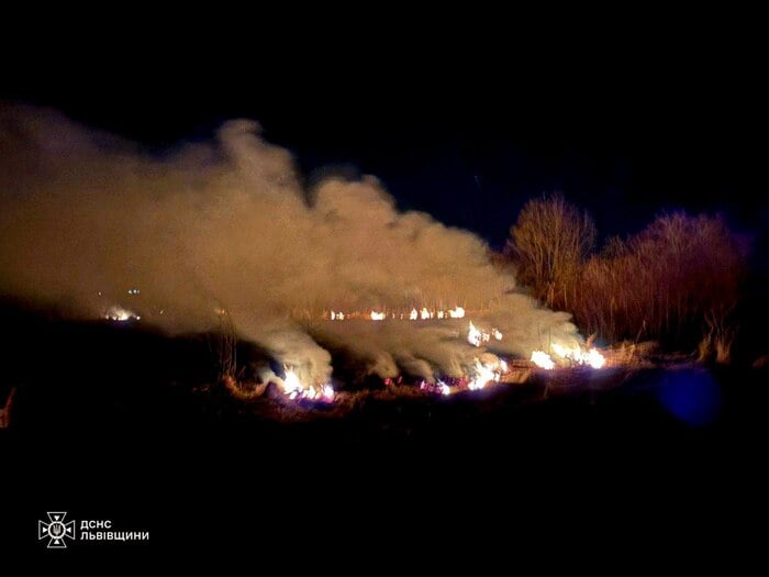  В Україні фіксуються численні пожежі в екосистемах, фото: ДСНС