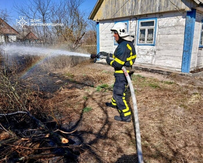 Спроба спалити суху траву спричинила пожежу, фото: ДСНС