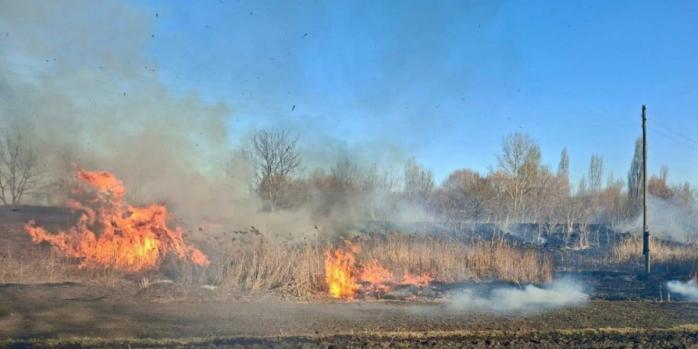 Спроба спалити суху траву спричинила пожежу, фото: ДСНС