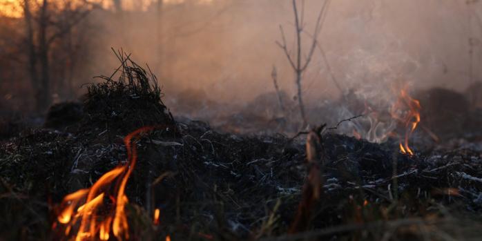 Украина страдает от массированных пожаров, фото: ГСЧС