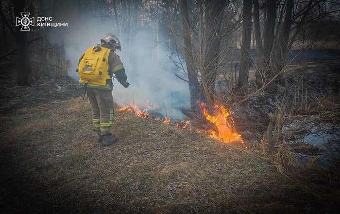 Пожежа в екосистемах на Київщині, фото: ДСНС