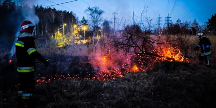 Пожар в экосистемах Киевской области, фото: ГСЧС
