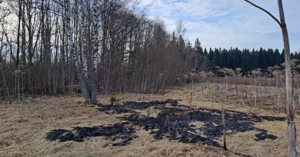 Український дрон впав на території Латвії. Фото: Delfi