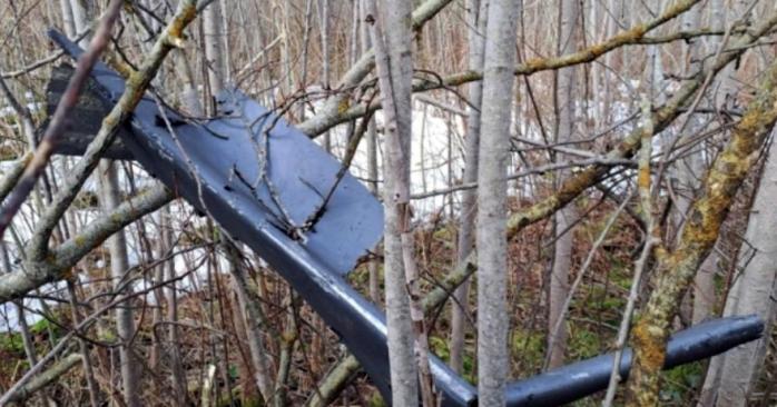 Український дрон впав на території Латвії. Фото: Delfi